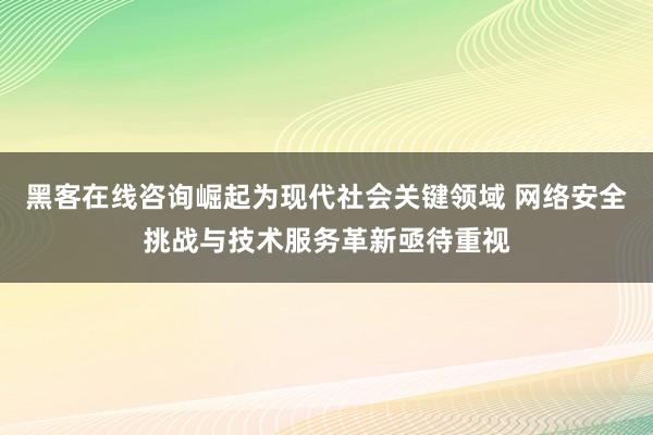 黑客在线咨询崛起为现代社会关键领域 网络安全挑战与技术服务革新亟待重视
